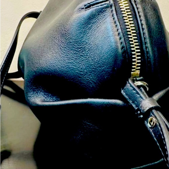 Chloe - Picture 2 of 3